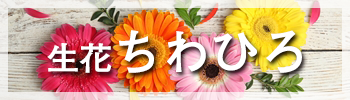 花、花束の販売は和歌山の生花ちわひろ。プリザーブドフラワー、供花、アレンジ、ブーケ等。